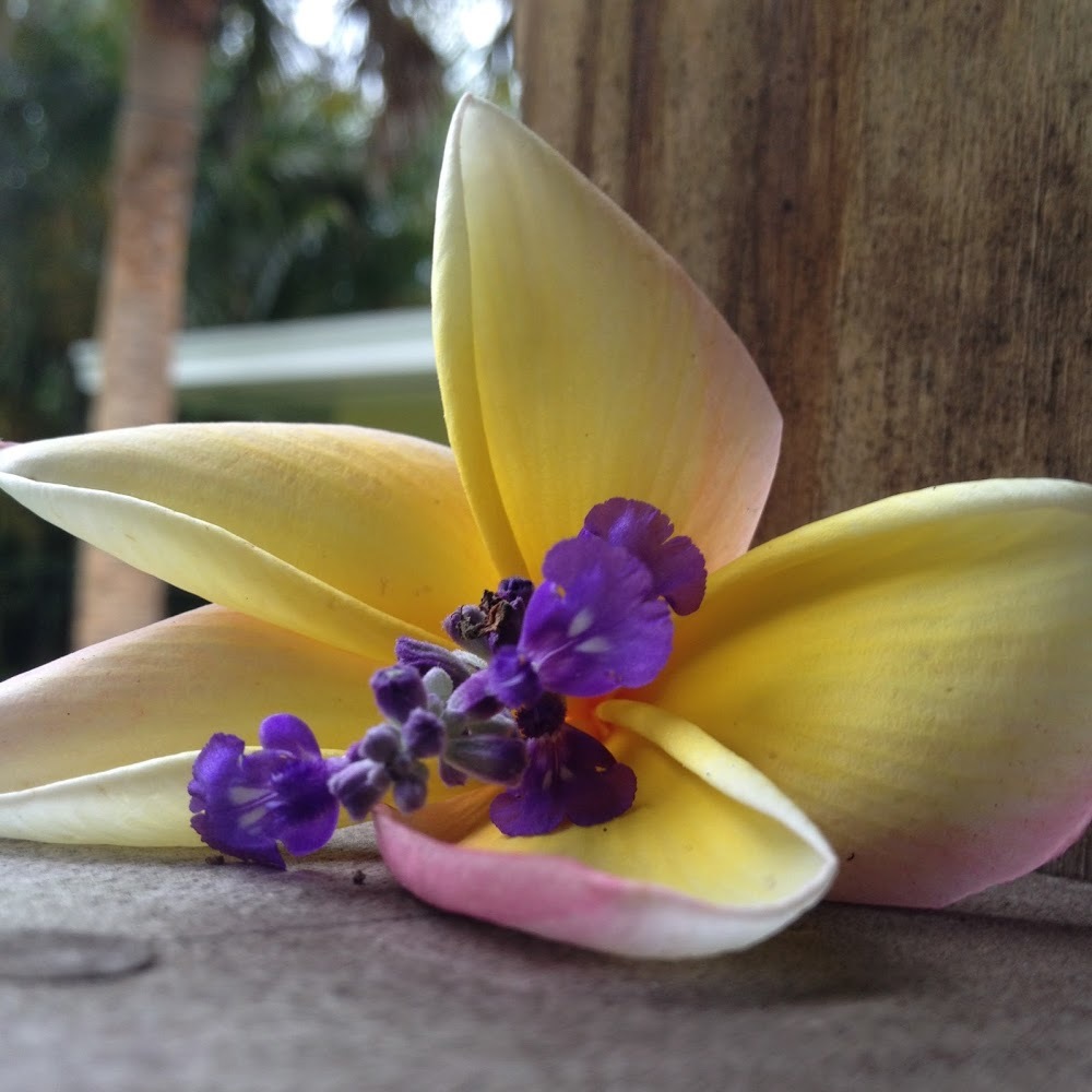 Meet your Posher, Bryce